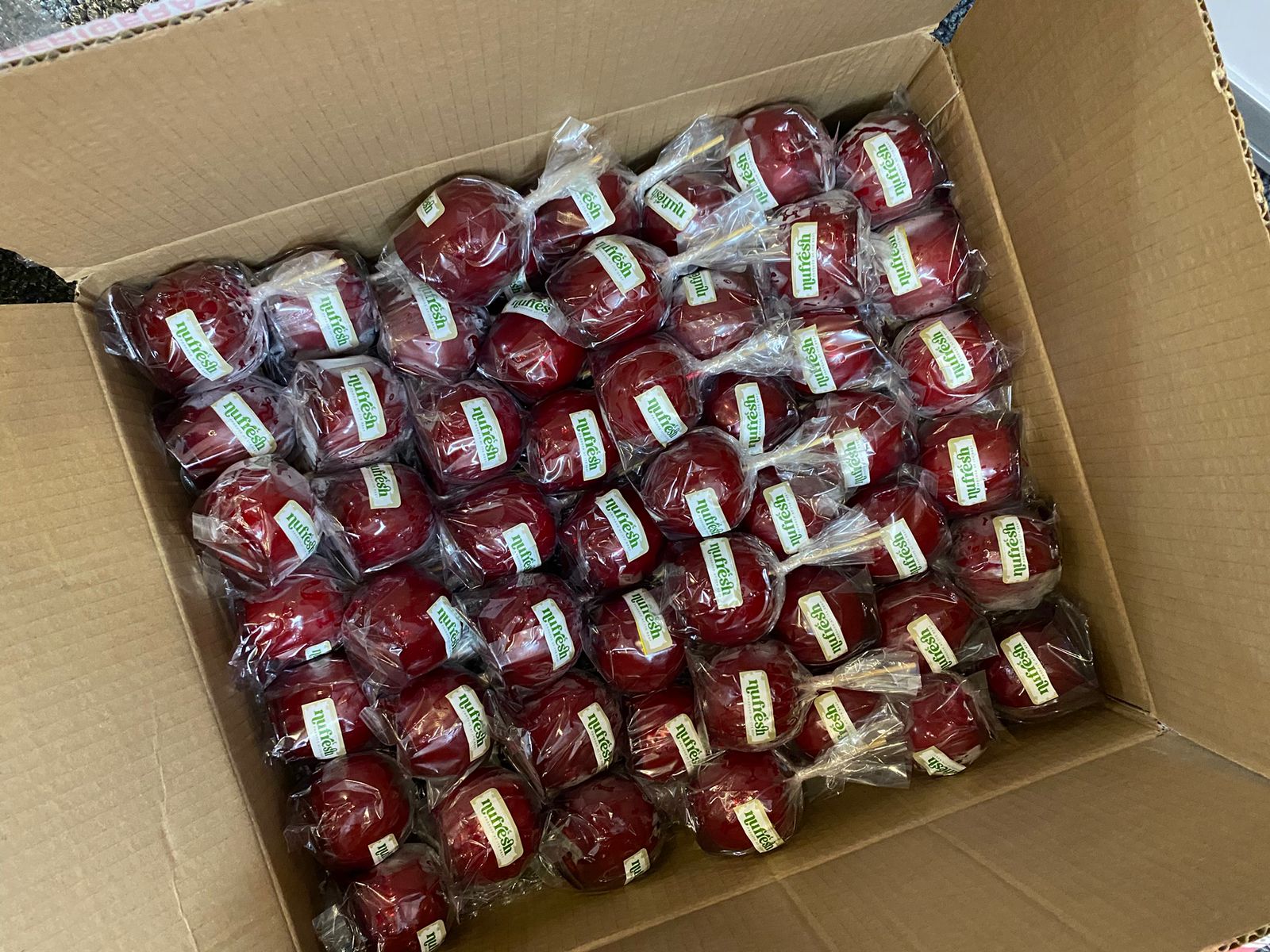 WhatsApp Image 2025-04-15 at 9.47.40 PM