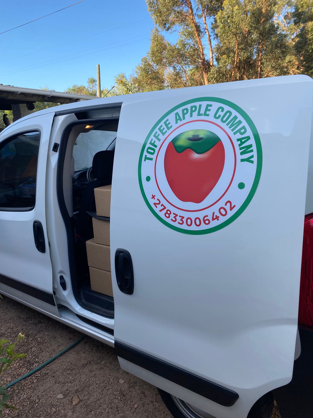 WhatsApp Image 2025-04-15 at 9.47.45 PM