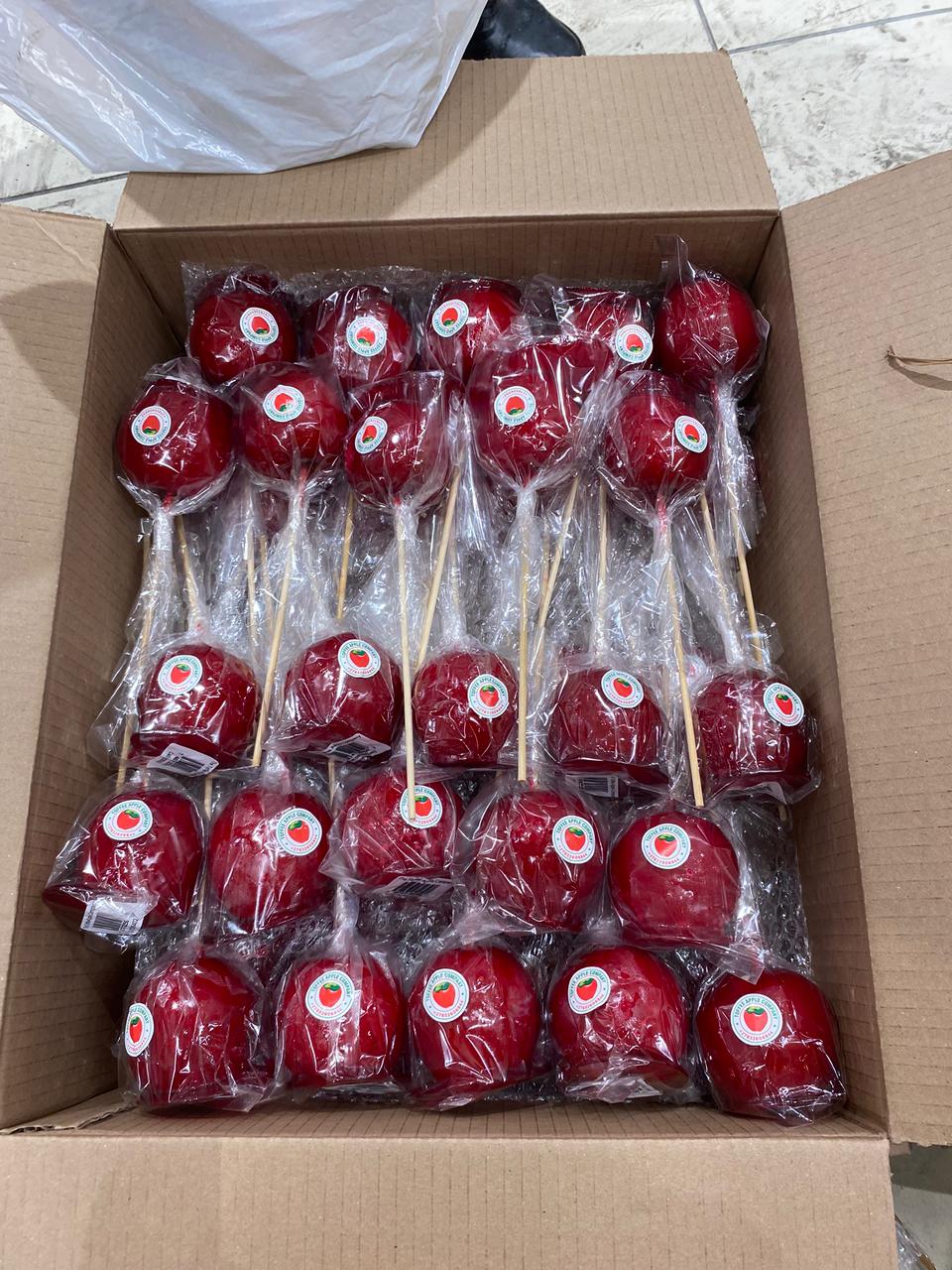 WhatsApp Image 2025-04-15 at 9.48.13 PM (1)